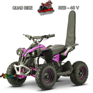 48 v 1200 w ATV Renegade Race-3EB quad bike Pink