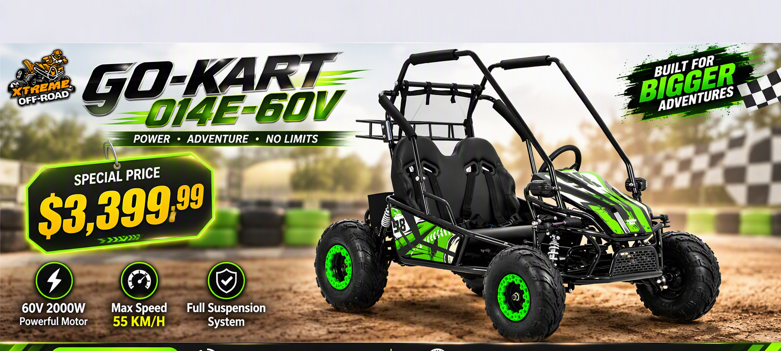 60v 2000w Elelctric Go kart