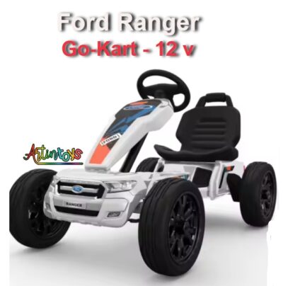 For-Ranger-GoKart 12 v